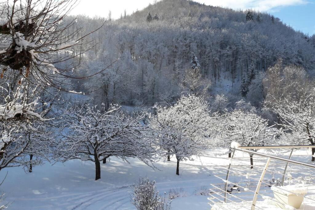 Gite "Entre Champsaur Et Valgodemard" Saint-Jacques-en-Valgodemard Экстерьер фото